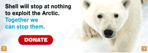 Greenpeace ask for donations to protect the Arctic from Shell...